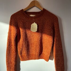 Altar'd State “Pecan” Color Sweater